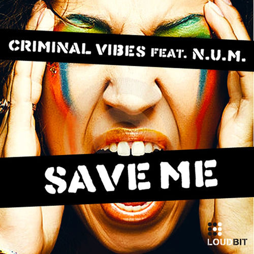 Cover von Criminal Vibes ft N.U.M.