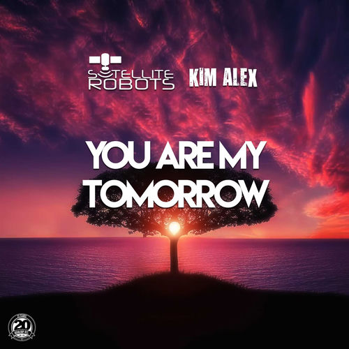 Cover von Satellite Robots And Kim Alex
