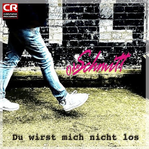 Cover von Ode Schmitt