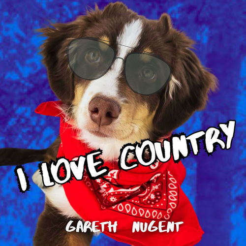 Cover von Gareth Nugent