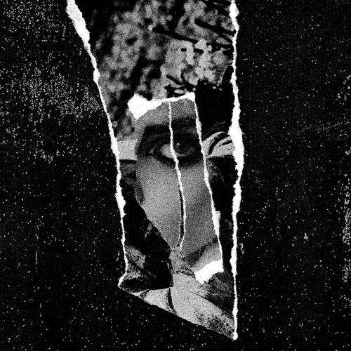 Cover von The Swansons