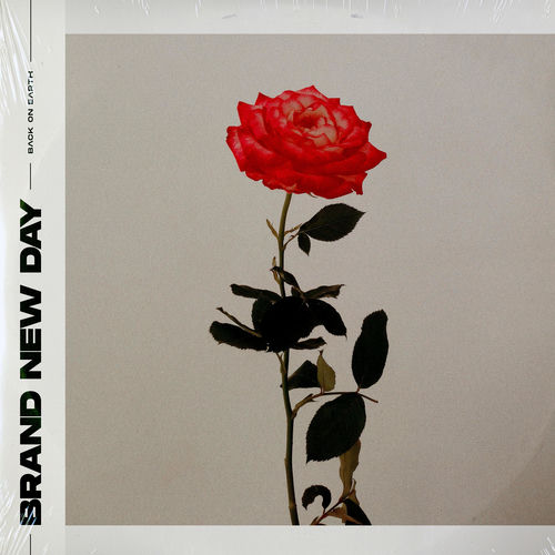 Cover von Back On Earth