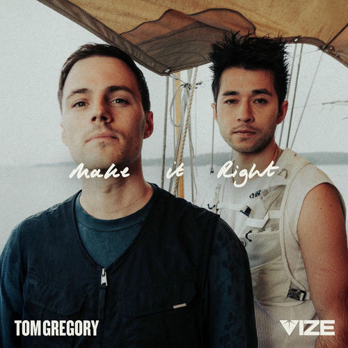 Cover von Tom Gregory & VIZE