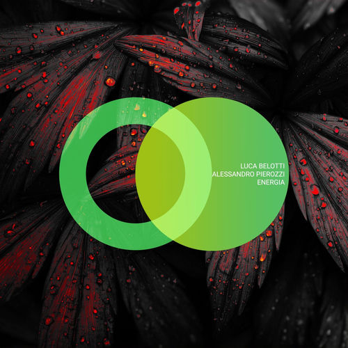 Cover von Luca Belotti, Alessandro Pierozzi