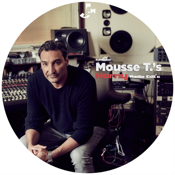 Cover von Mousse T vs Hot 'N' Juicy