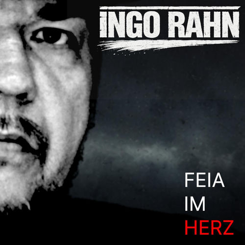 Cover von Ingo Rahn