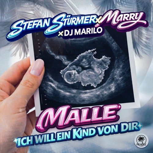 Cover von Stefan Stürmer & Marry & DJ Marilo