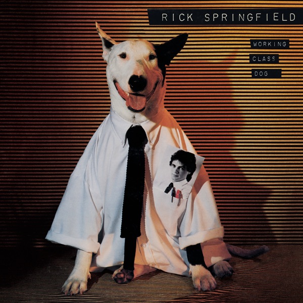 Cover von 07 Rick Springfield