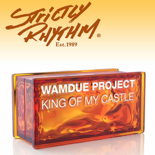 Cover von Wamdue Project