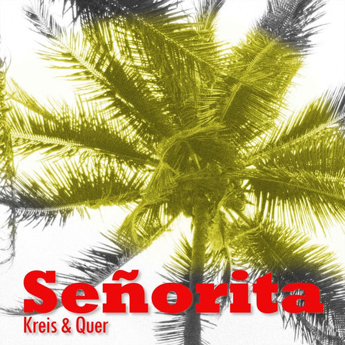 Cover von Kreis Und Quer