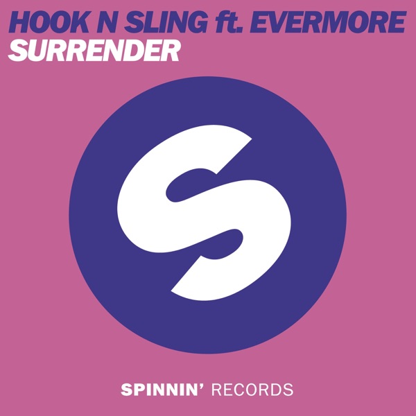 Cover von Hook N Sling ft Evermore