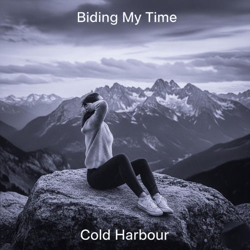 Cover von Cold Harbour 