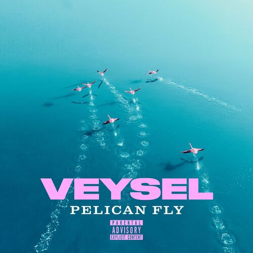 Cover von Veysel