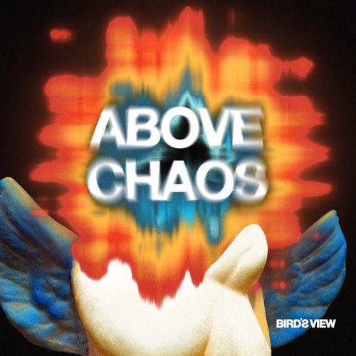 Cover von BIRD'S VIEW