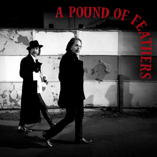 Cover von THE BLACK CROWES