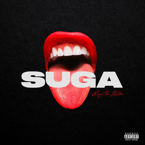 Cover von Megan Thee Stallion