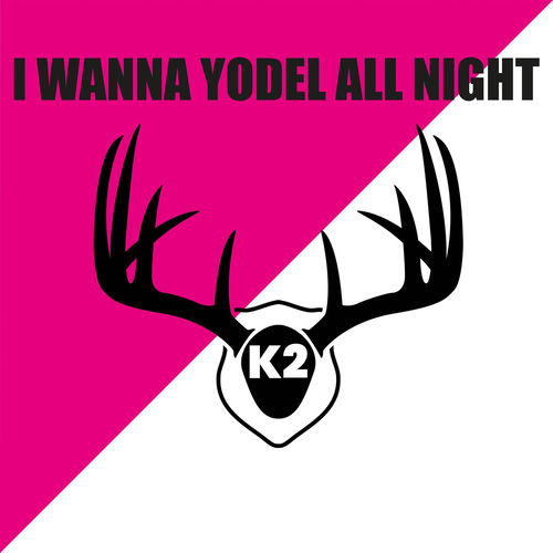 Cover von K2
