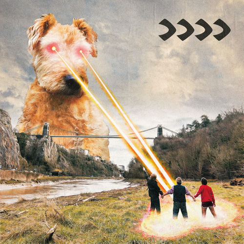 Cover von Beak>