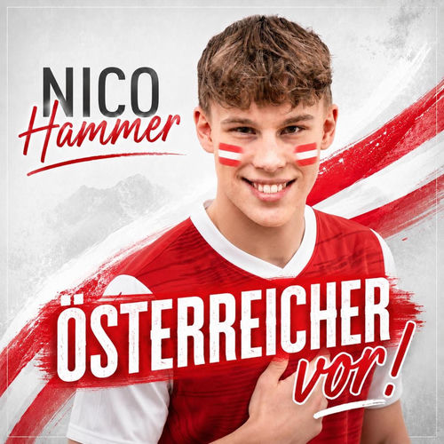 Cover von Nico Hammer 