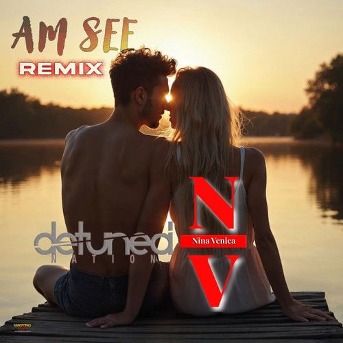 Cover von Nina Venica