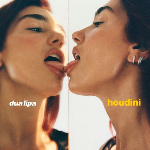 Cover von Dua Lipa