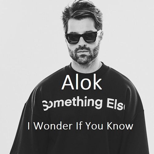 Alok, SOMETHING ELSE - I Wonder If You Know