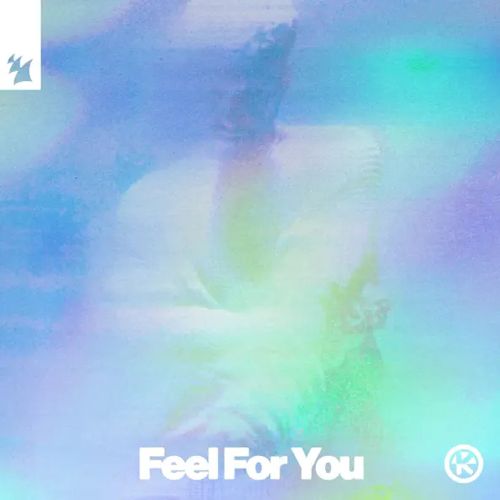 D.O.D & niina - Feel For You