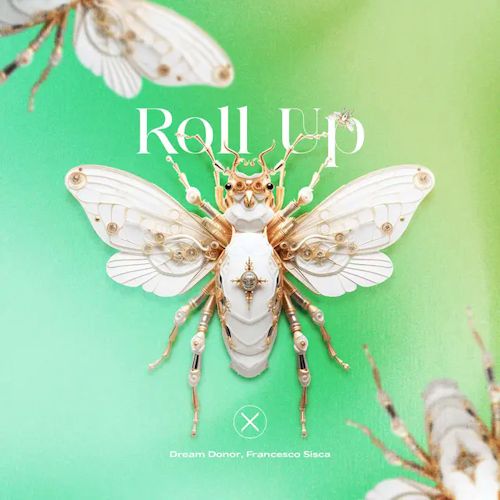 Dream Donor, Francesco Sisca - Roll Up